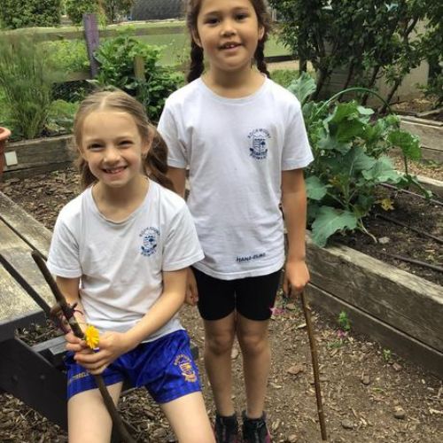 Outdoor Learning