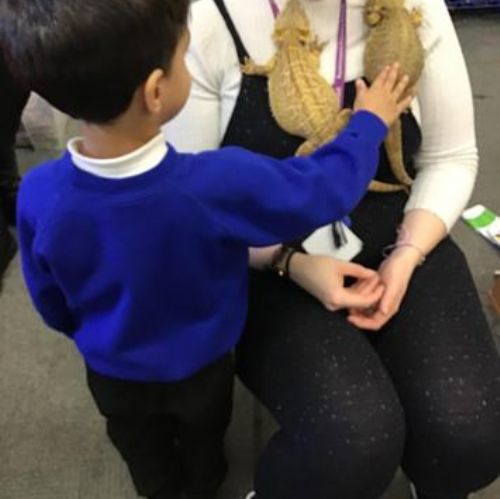 Little Visitors in Reception