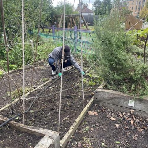 Gardening Club / Working Day 2nd October