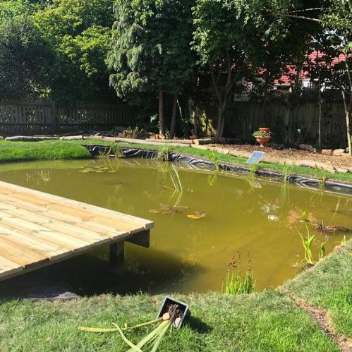 Wildlife Area redevelopment between March and September