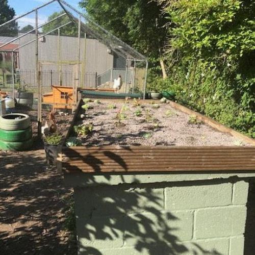 Thursday 4th July - TSB working party + Men in Sheds