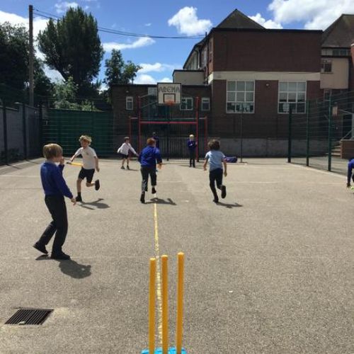 Cricket Skills and Knowledge